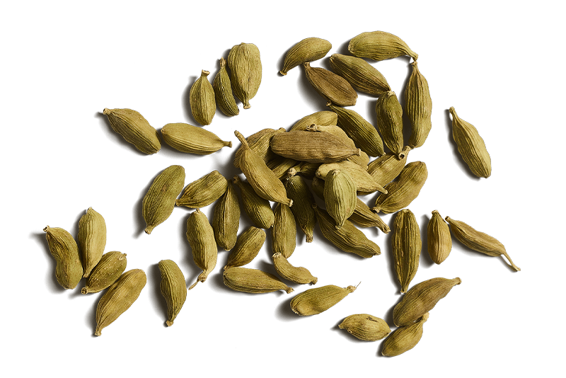 Cardamom (Elaichi)