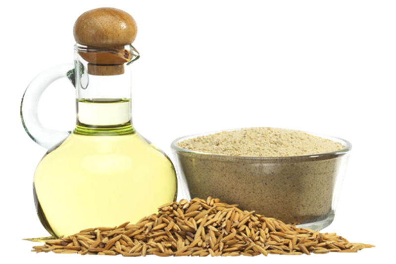 Rice Bran Oil